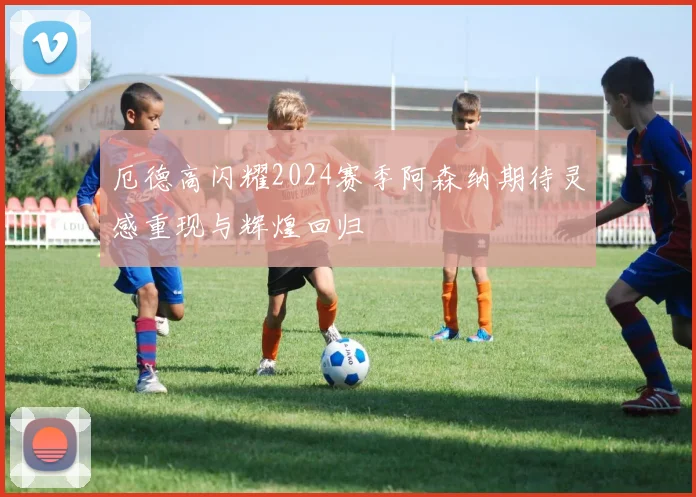 厄德高闪耀2024赛季阿森纳期待灵感重现与辉煌回归